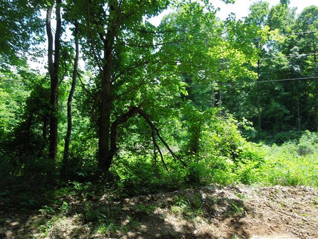 58 Maple Road Stewart, TN 37175 - Photo 2 of 10 No zoning, good hunting and 10 minutes to Kentucky Lake.