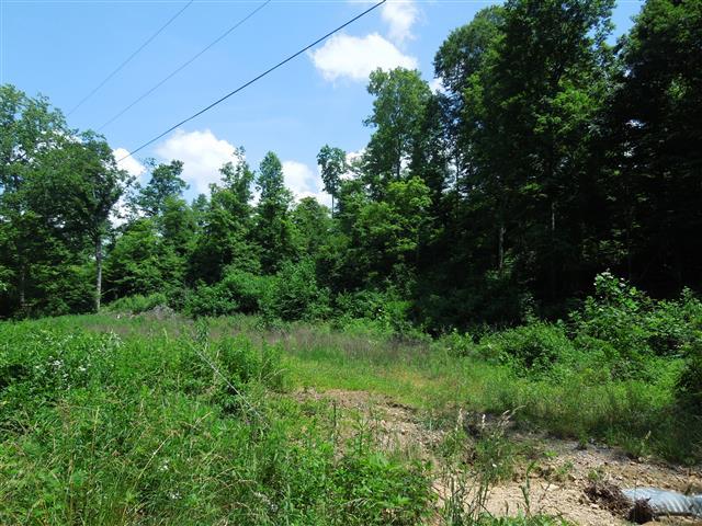 58 Maple Road Stewart, TN 37175 - Photo 3 of 10 Some level, mostly rolling terrain.
