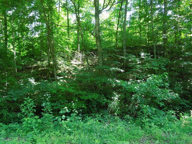 58 Maple Road Stewart, TN 37175 - Photo 4 of 10 Rather private area, with a few homes in the area.