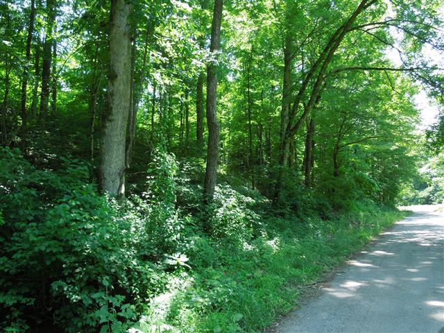 58 Maple Road Stewart, TN 37175 - Photo 5 of 10 Approximately 700 ft. road frontage.
