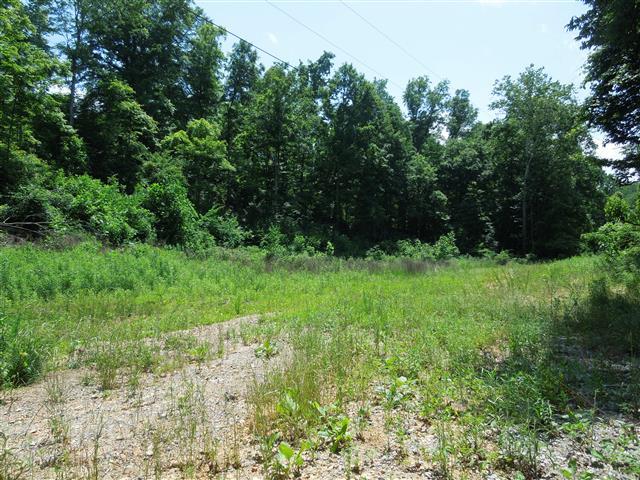 58 Maple Road Stewart, TN 37175 - Photo 6 of 10 Wet weather creek runs along one section of the property.