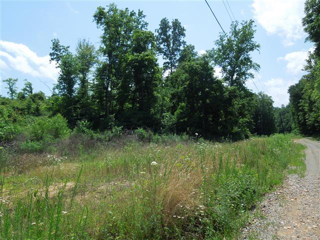 58 Maple Road Stewart, TN 37175 - Photo 9 of 10 Another view of the road frontage.