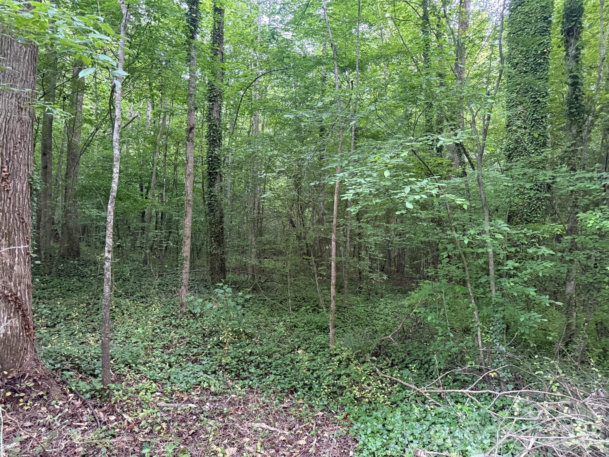0 Winterhaven Road, Unit 4 Taylorsville, NC 28681 - Photo 7 of 7