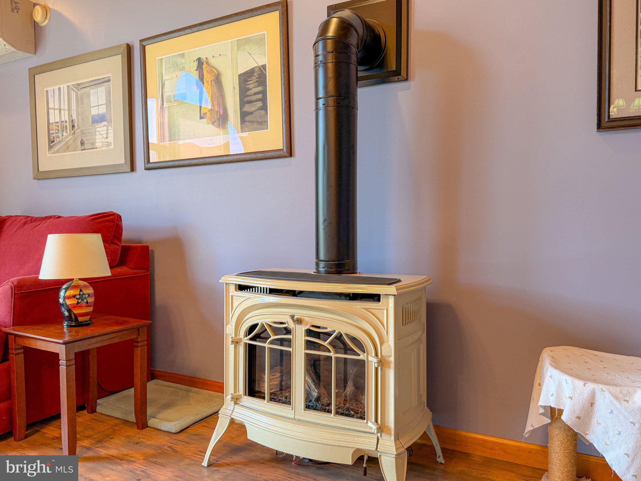5869 Milligans Cove Road Manns Choice, PA 15550 - Photo 9 of 28 Gas Heater