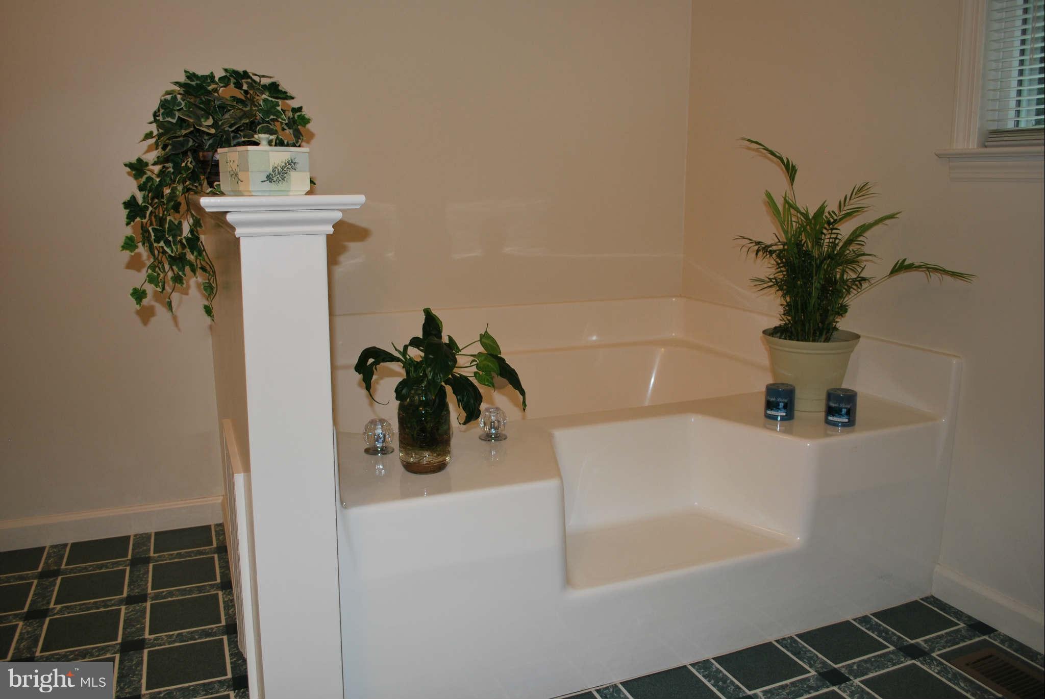 13934 Penn Shop Road Mount Airy, MD 21771 - Photo 19 of 29 Bath (Master)