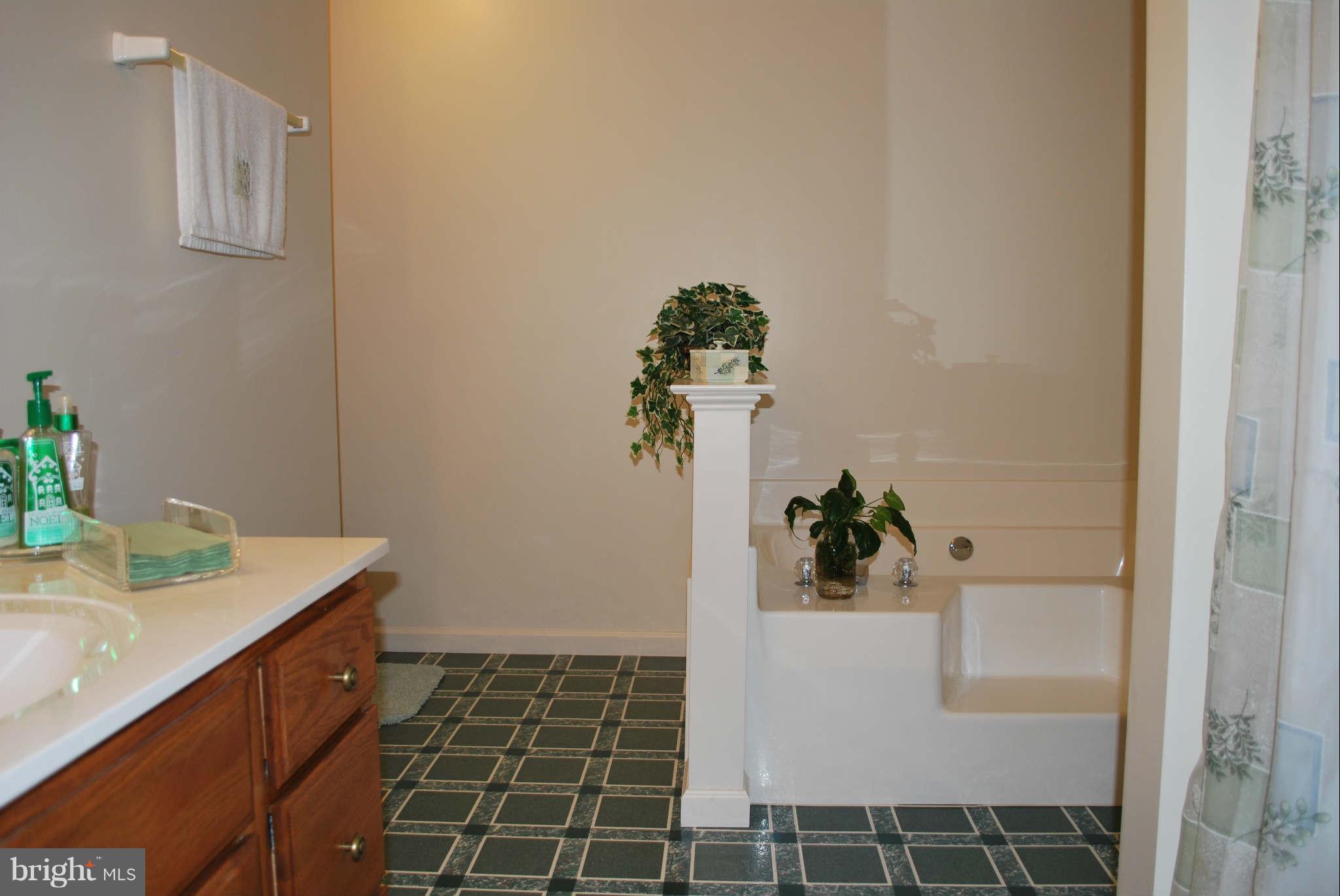 13934 Penn Shop Road Mount Airy, MD 21771 - Photo 20 of 29 Bath (Master)