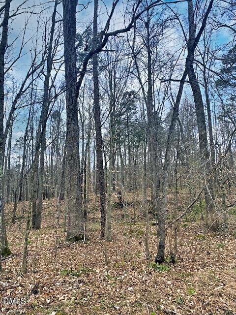 0 Parham Road Roxboro, NC 27574 - Photo 11 of 11 Parham 6