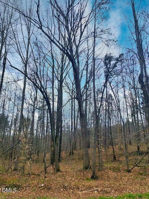 0 Parham Road Roxboro, NC 27574 - Photo 9 of 11 Parham 5