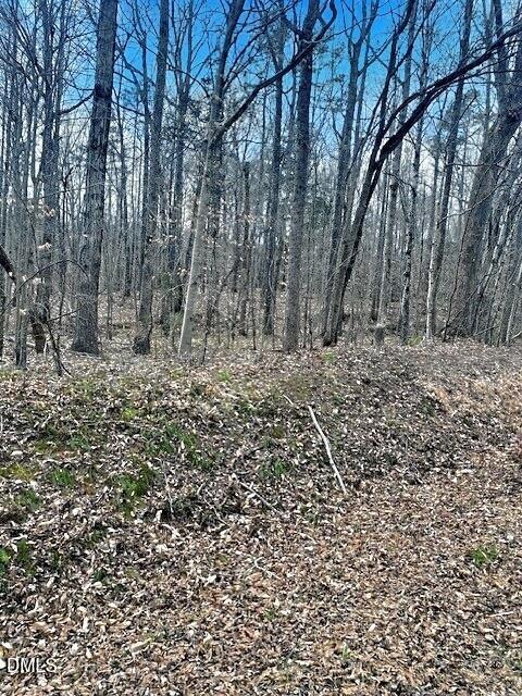 0 Parham Road Roxboro, NC 27574 - Photo 10 of 11 Parham 1