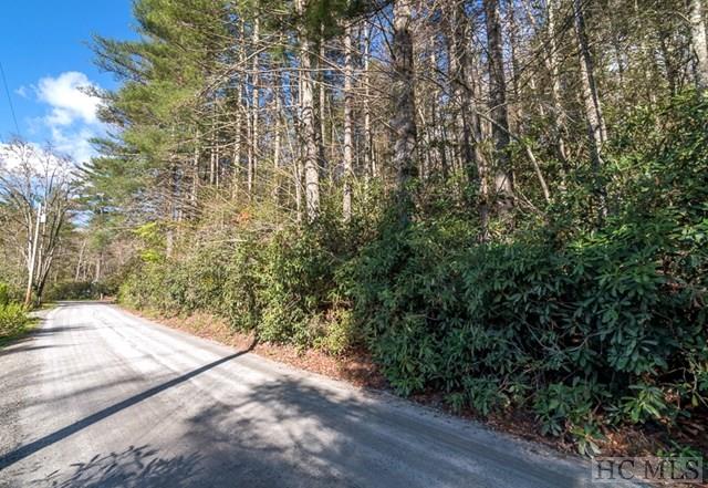 Tbd Lance Road Cashiers, NC 28717 - Photo 1 of 12 Gallery Image 1