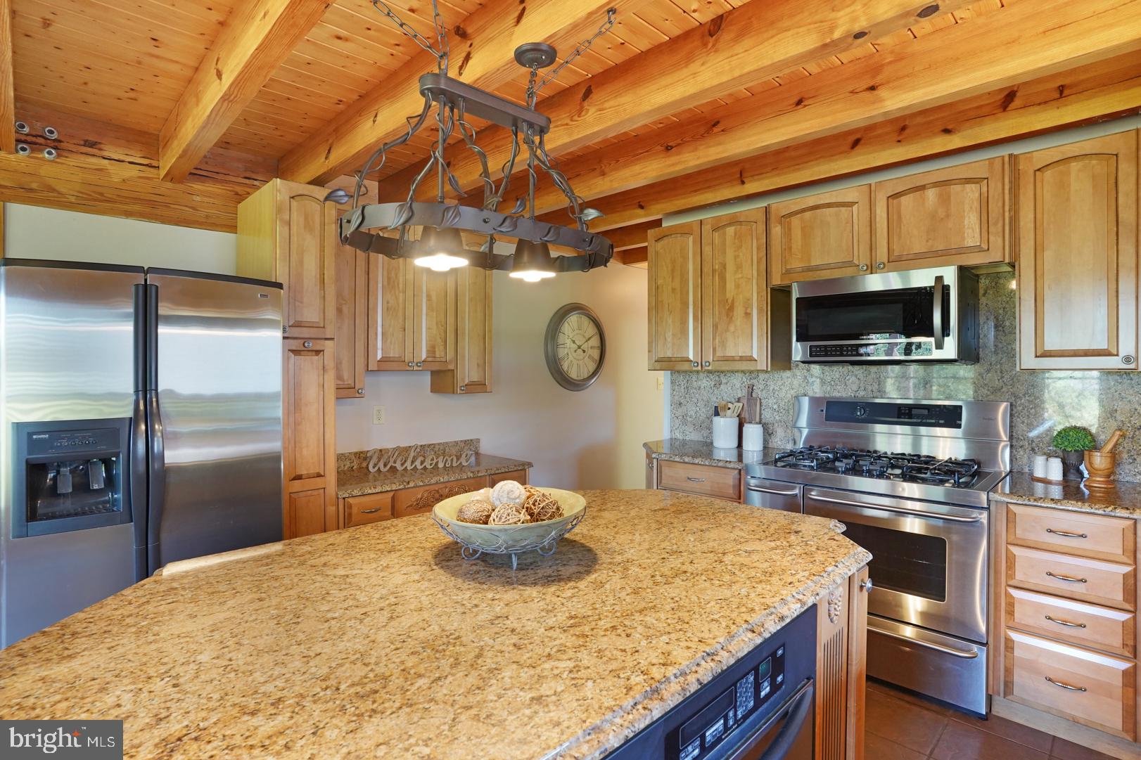381 Dogtown Road Townsend, DE 19734 - Photo 17 of 71 Double oven and oversized gas stove top