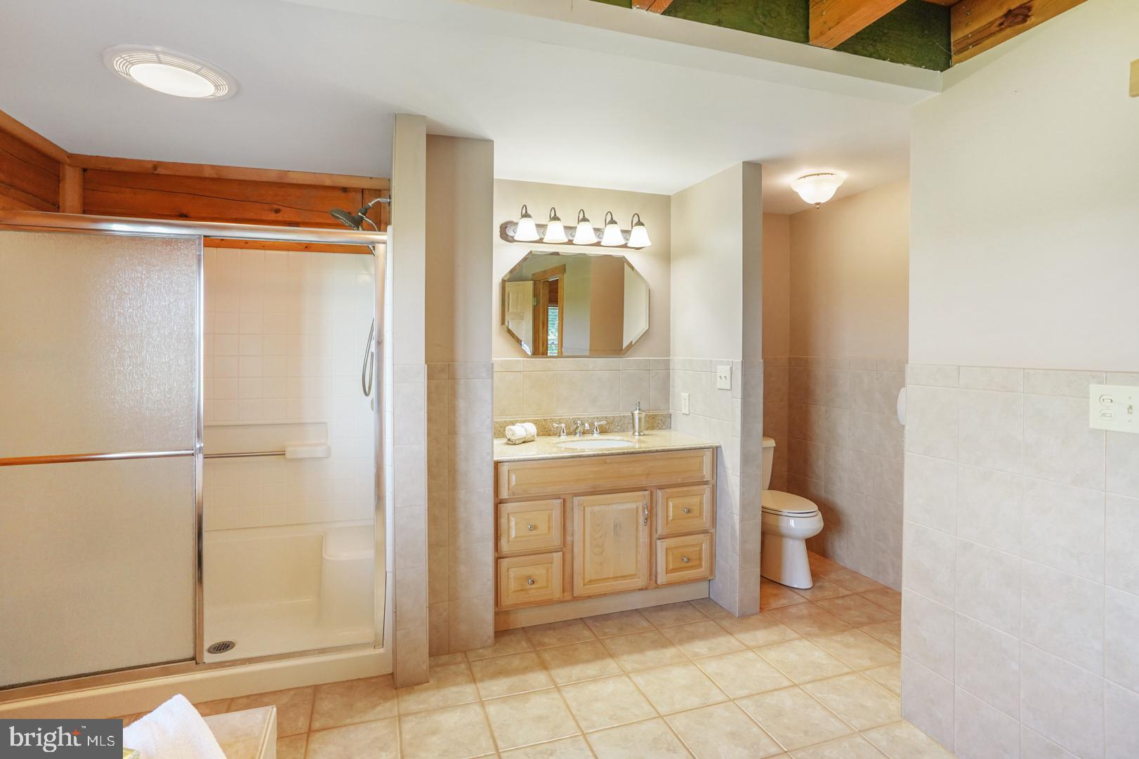 381 Dogtown Road Townsend, DE 19734 - Photo 34 of 71 Master bath