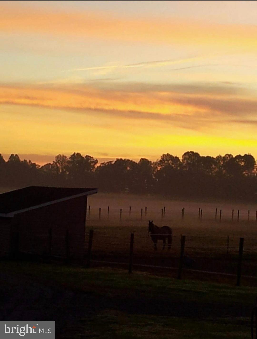 381 Dogtown Road Townsend, DE 19734 - Photo 66 of 71 Sunset over the pasture