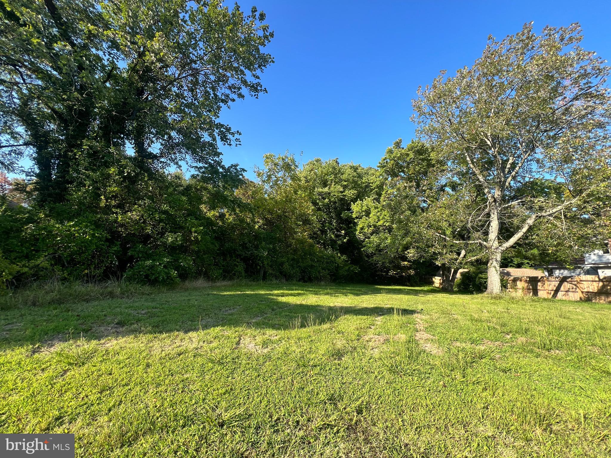 a view of a park with large trees