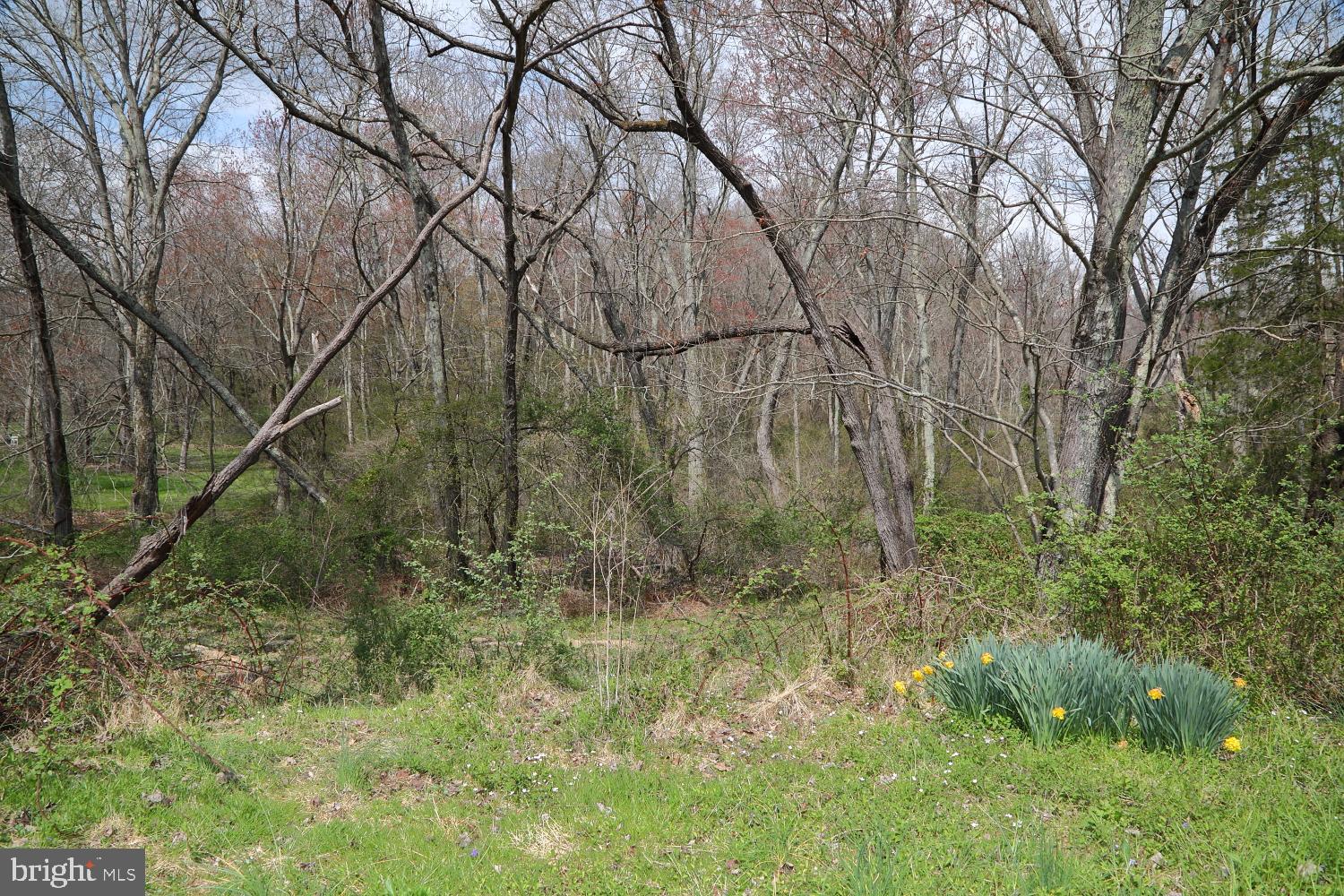 3503 Mill Green Road Street, MD 21154 - Photo 36 of 36 Gallery Image 36