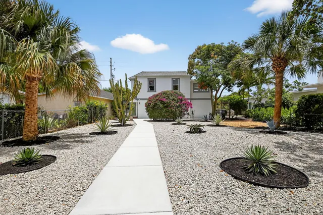 a view of a backyard with plants and palm tree