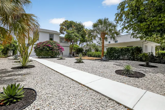 a view of a garden with potted plants