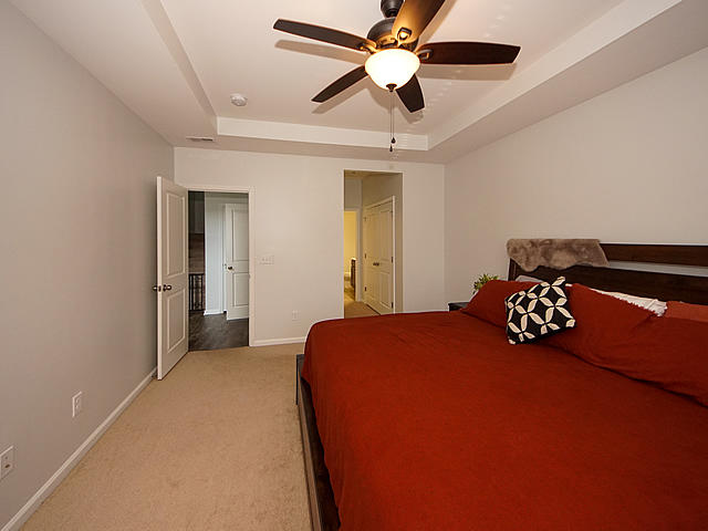 236 Swallowtail Lane Goose Creek, SC 29445 - Photo 22 of 42 Tray ceiling with fan
