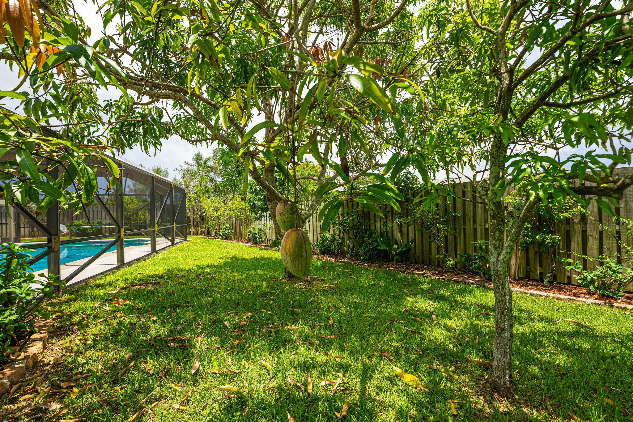 9674 Colorado Court Boca Raton, FL 33434 - Photo 55 of 61 MANGO TREE