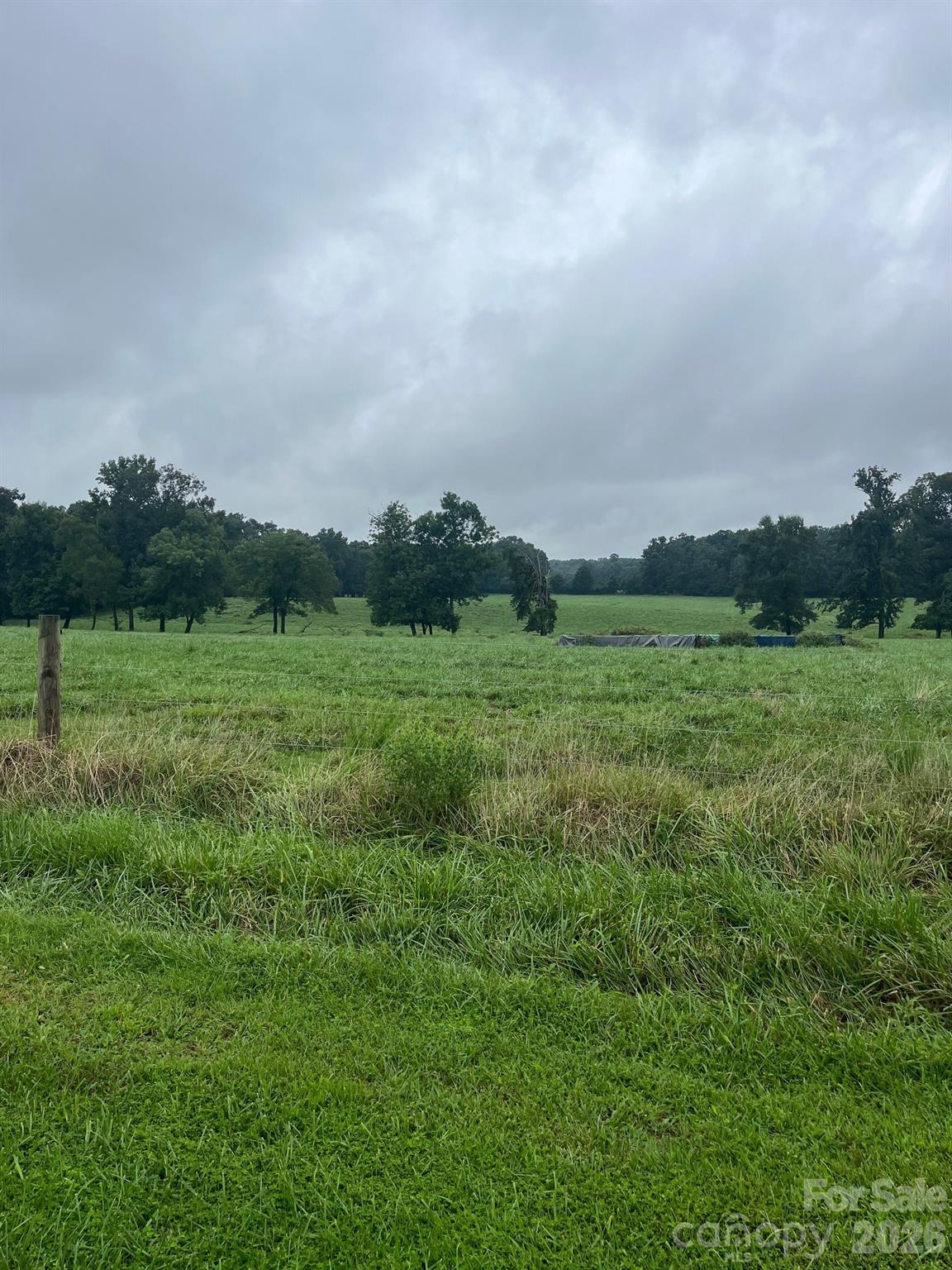 0 Thanny Helms Road Peachland, NC 28133 - Photo 8 of 12