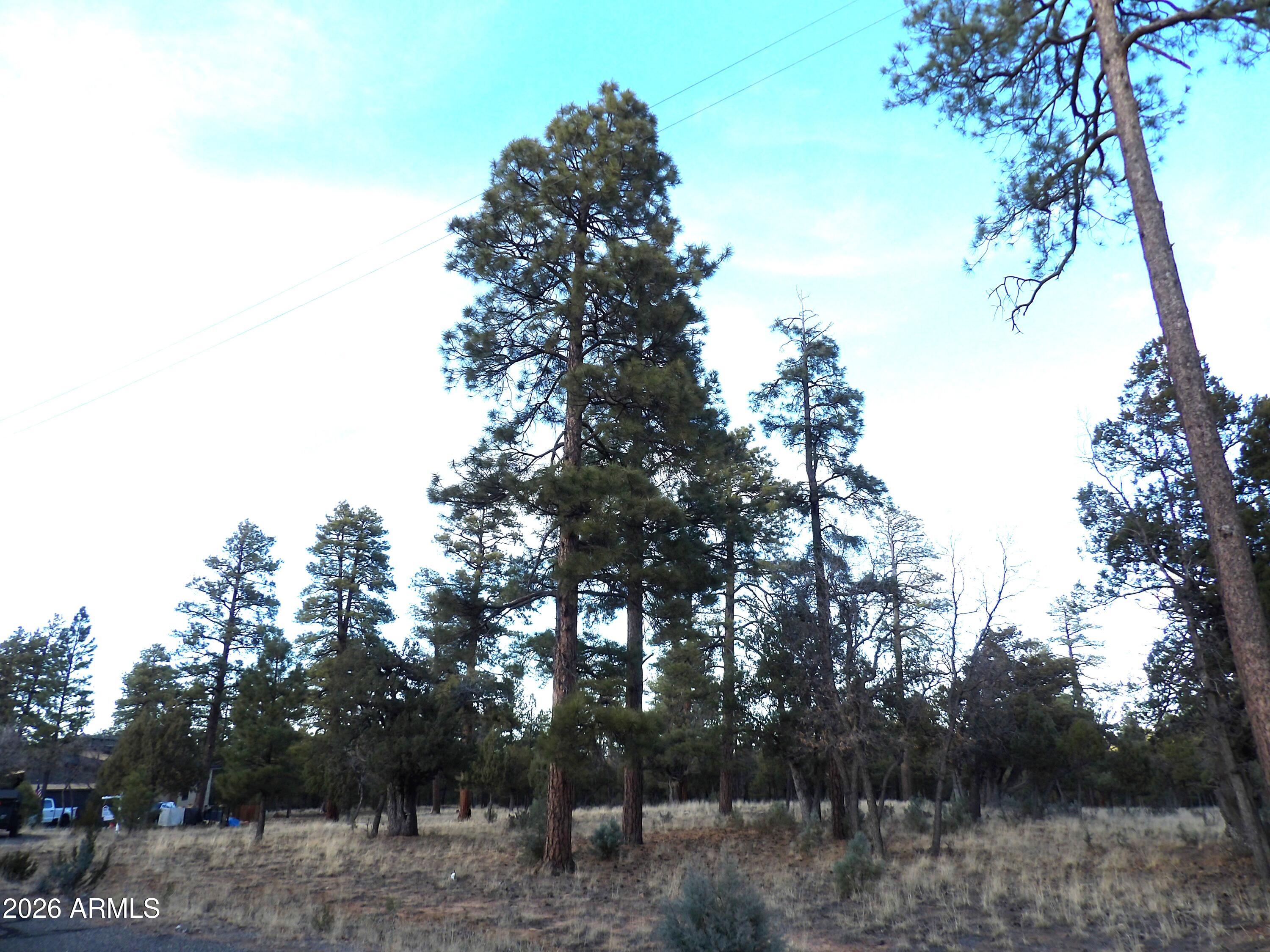 2941 Eagle Ridge Circle, Unit 119 Happy Jack, AZ 86024 - Photo 2 of 11 100_1030