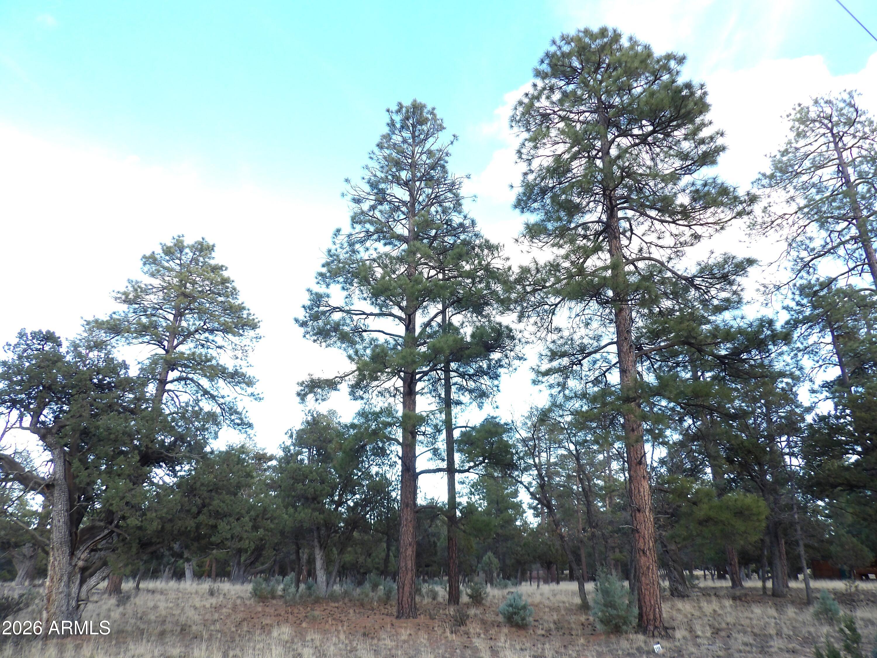 2941 Eagle Ridge Circle, Unit 119 Happy Jack, AZ 86024 - Photo 5 of 11 100_1033
