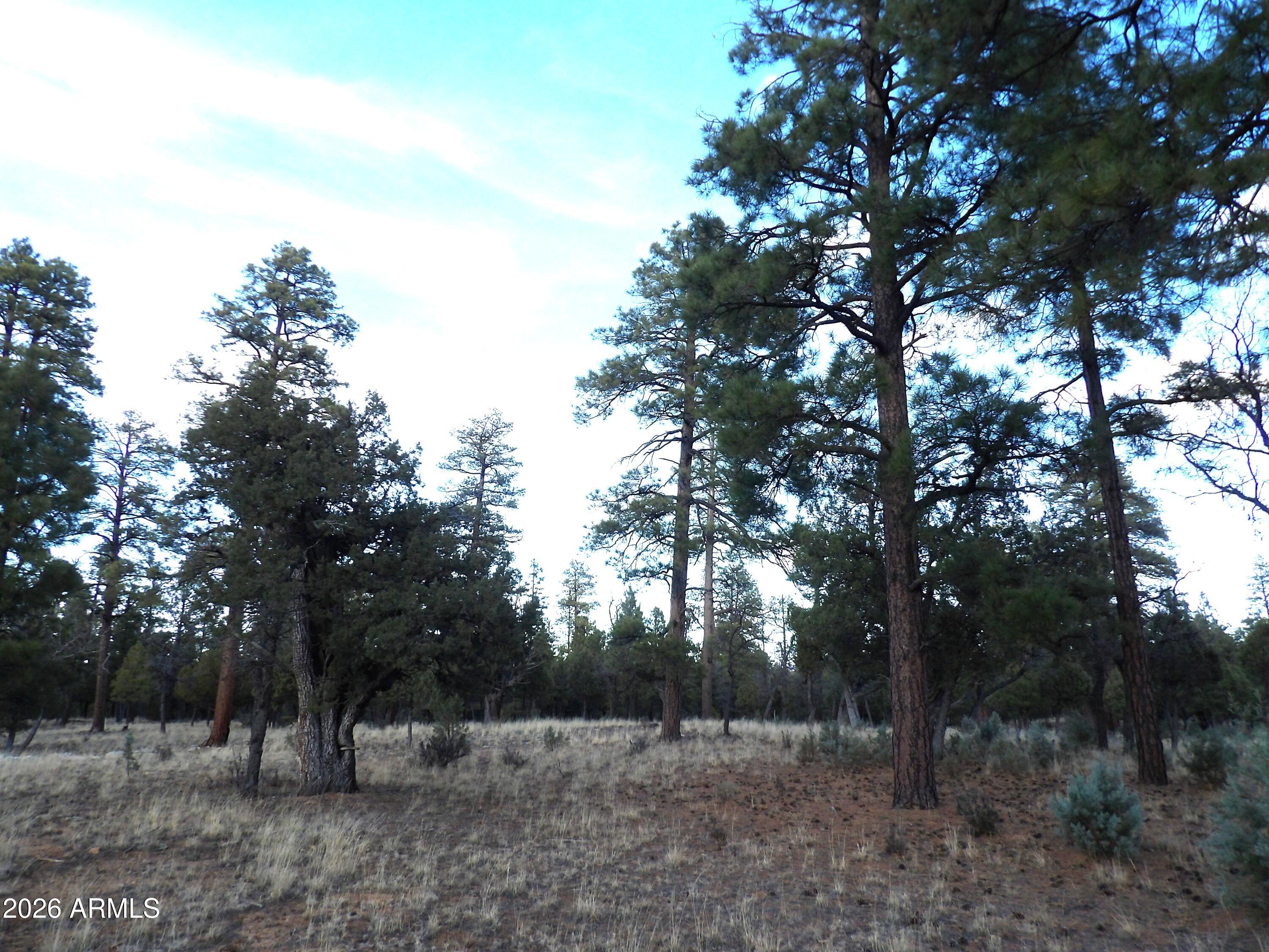 2941 Eagle Ridge Circle, Unit 119 Happy Jack, AZ 86024 - Photo 6 of 11 100_1034