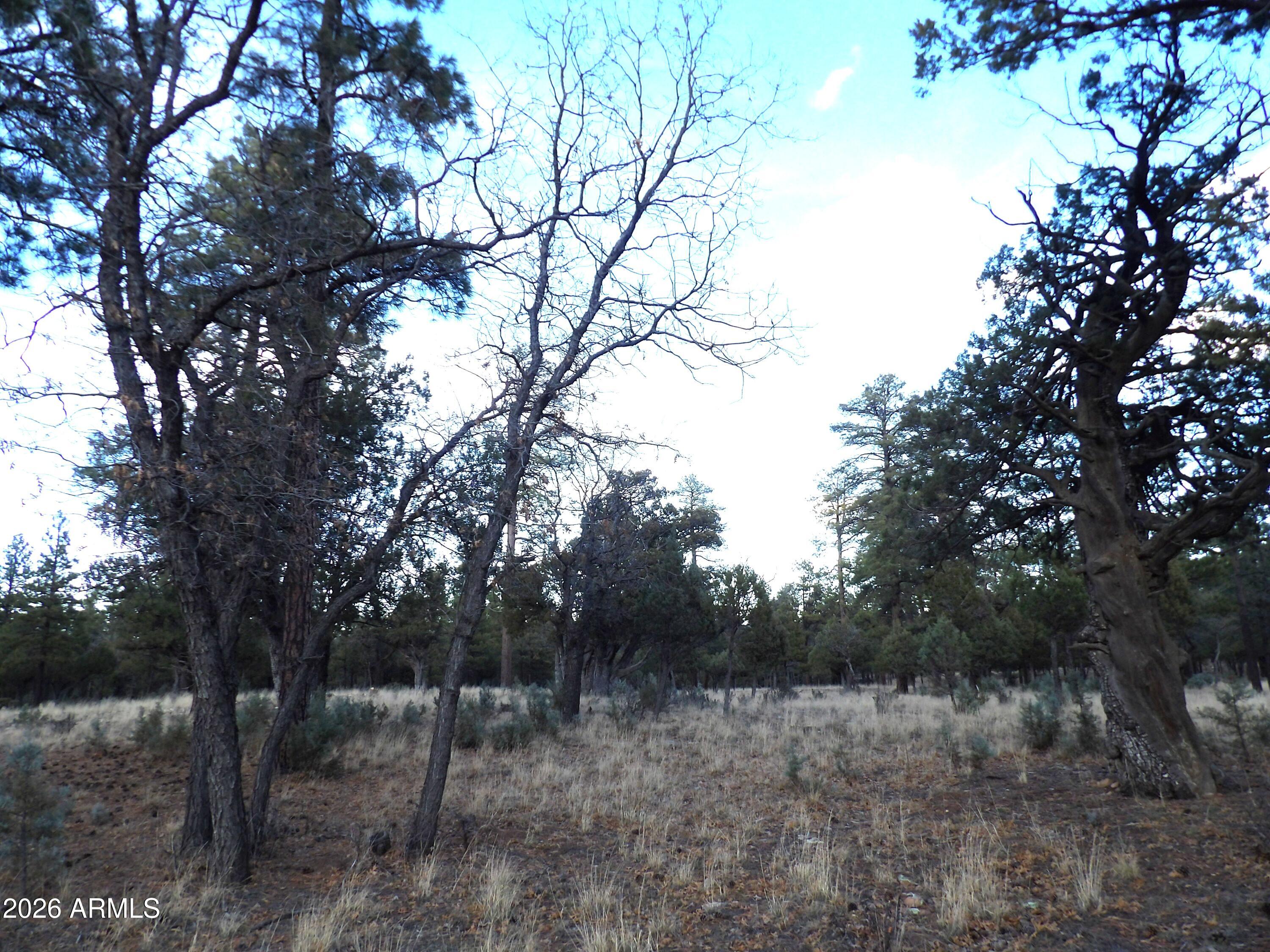 2941 Eagle Ridge Circle, Unit 119 Happy Jack, AZ 86024 - Photo 7 of 11 100_1035