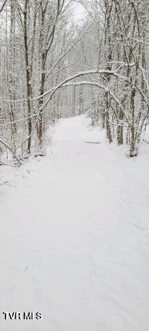 Tbd North Fork River Road, Unit 3 Abingdon, VA 24210 - Photo 32 of 34 *