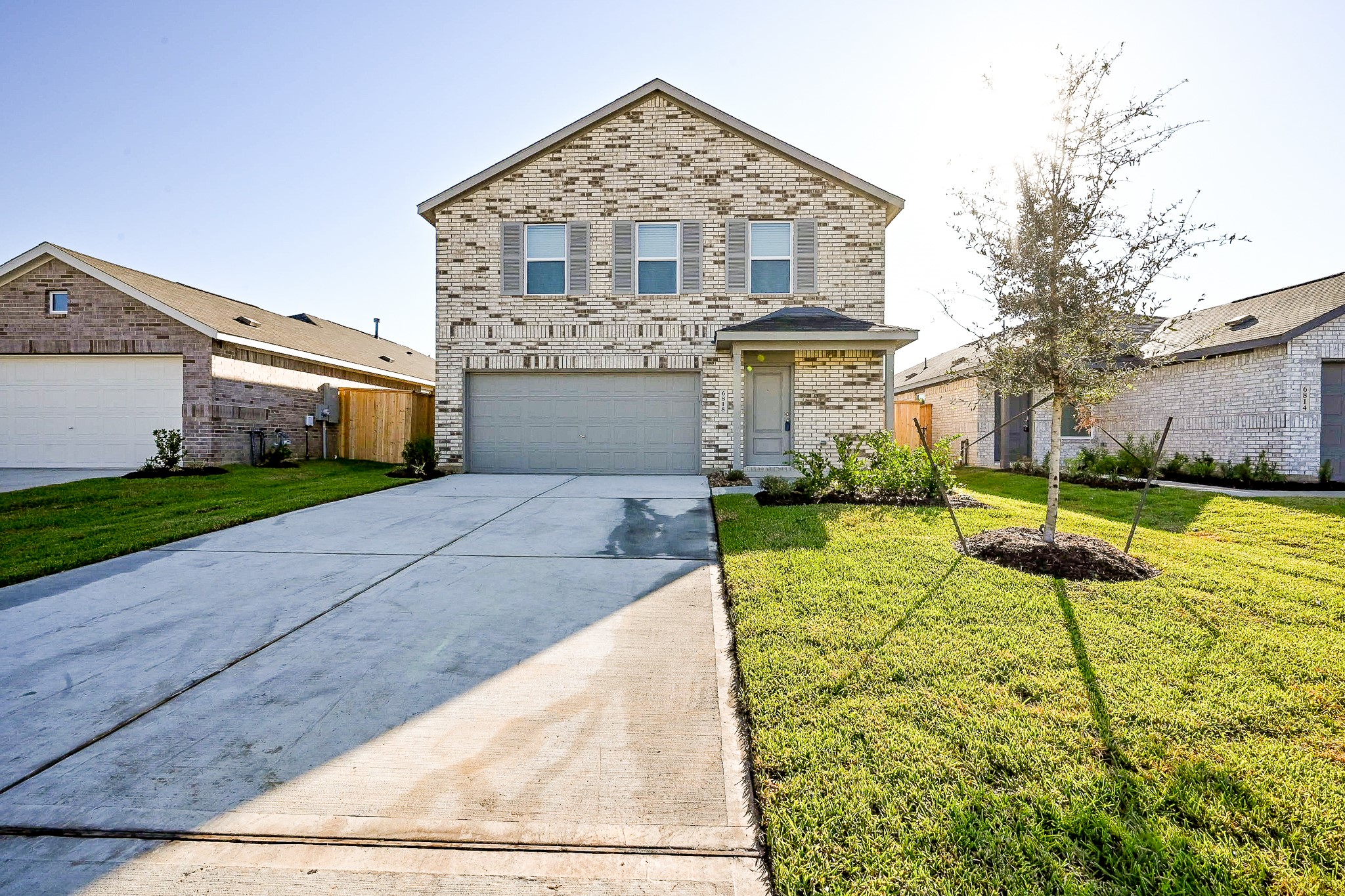 6818 Flowering Ginger Lane Katy, TX 77493 - Photo 18 of 47 a view of a house with a big yard plants and large tree
