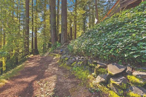 $659,000 | 9085 Middle Terrace, Monte Rio, CA 95462