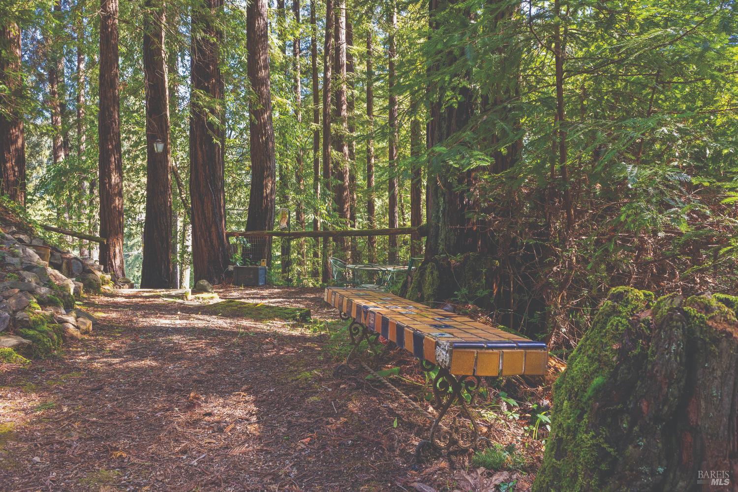 9085 Middle Terrace Monte Rio, CA 95462 - Photo 51 of 77 a backyard of a house with lots of green space