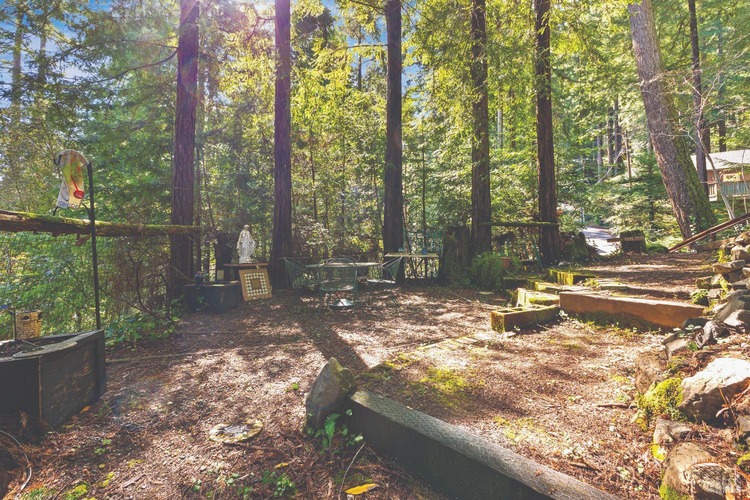 9085 Middle Terrace Monte Rio, CA 95462 - Photo 64 of 77 a view of a yard with a tree