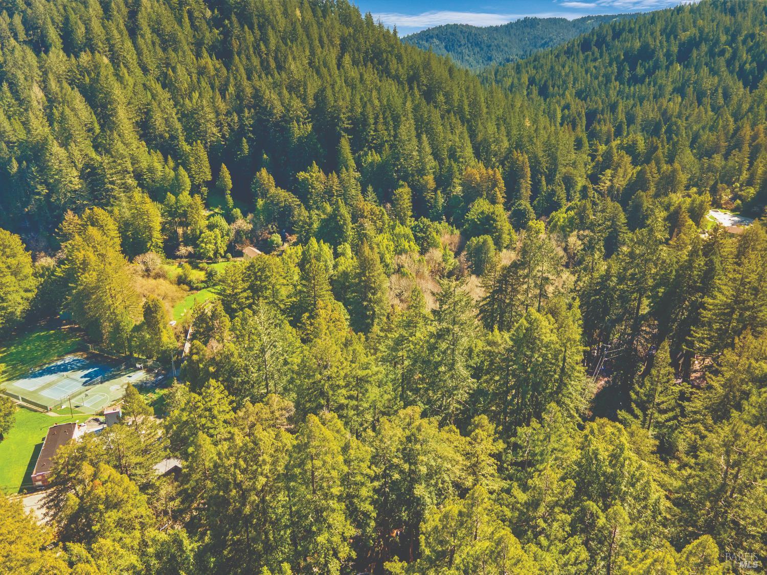 9085 Middle Terrace Monte Rio, CA 95462 - Photo 75 of 77 a view of a yard