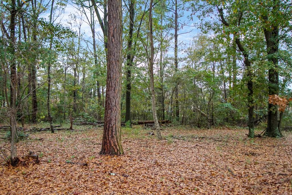 Lot 1 Longmeadow Road Aiken, SC 29803 - Photo 2 of 5
