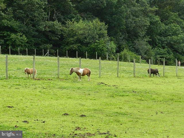 851 Zimmerman Road Red Lion, PA 17356 - Photo 14 of 31