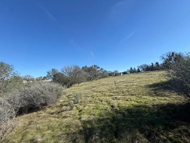 a view of a city with lush green forest