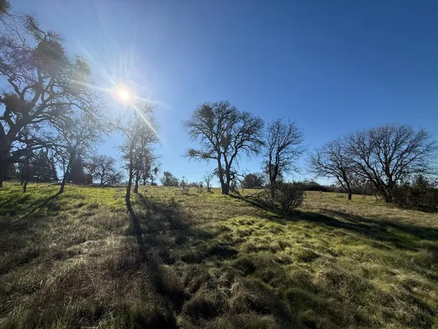 a view of yard with green space