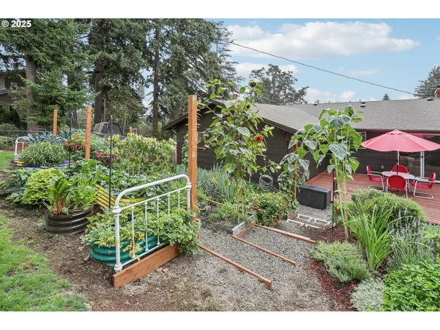 a view of a backyard with wooden fence