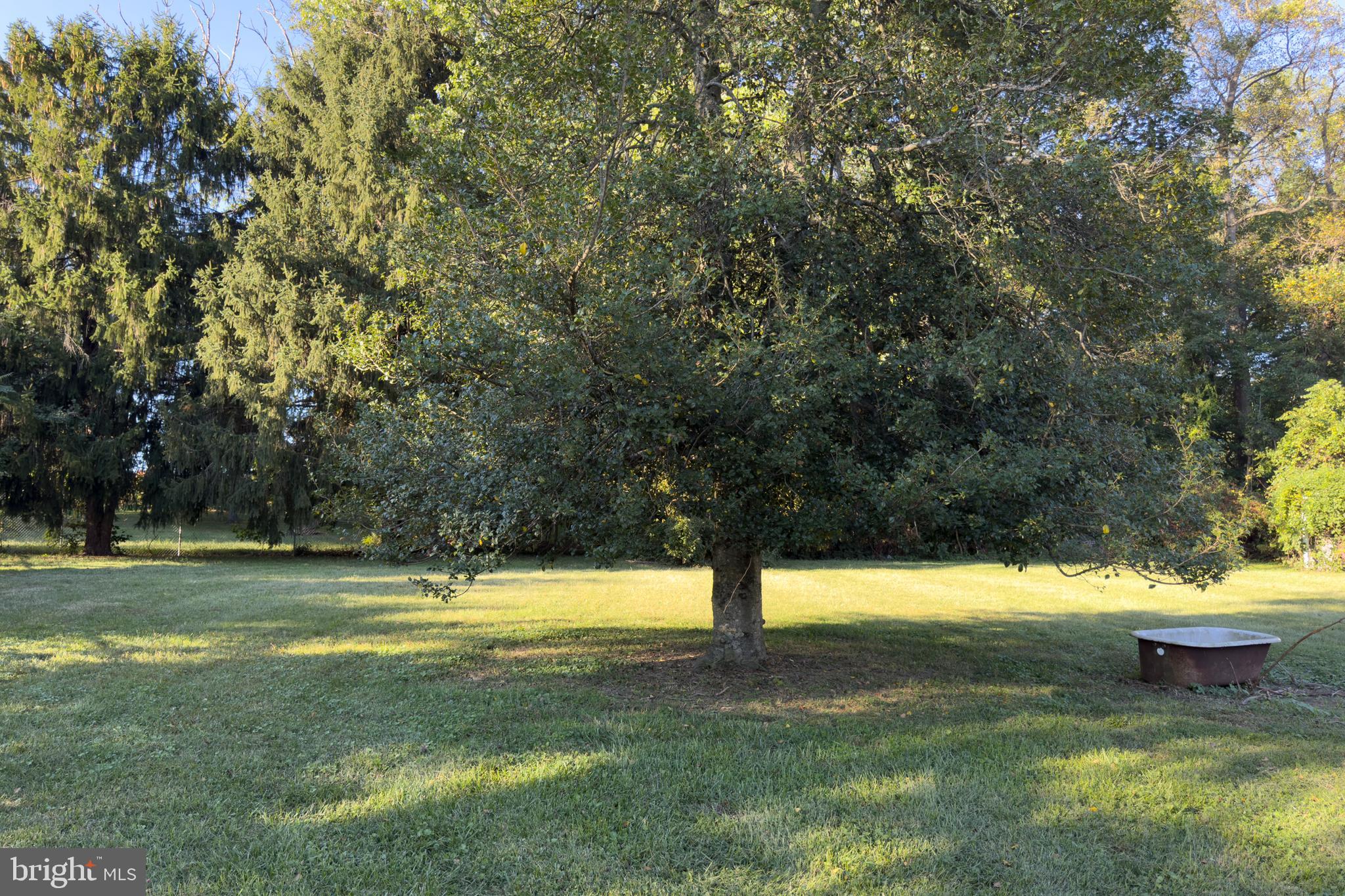 12500 Thompson Road Bowie, MD 20720 - Photo 37 of 48 Backyard (alt view)