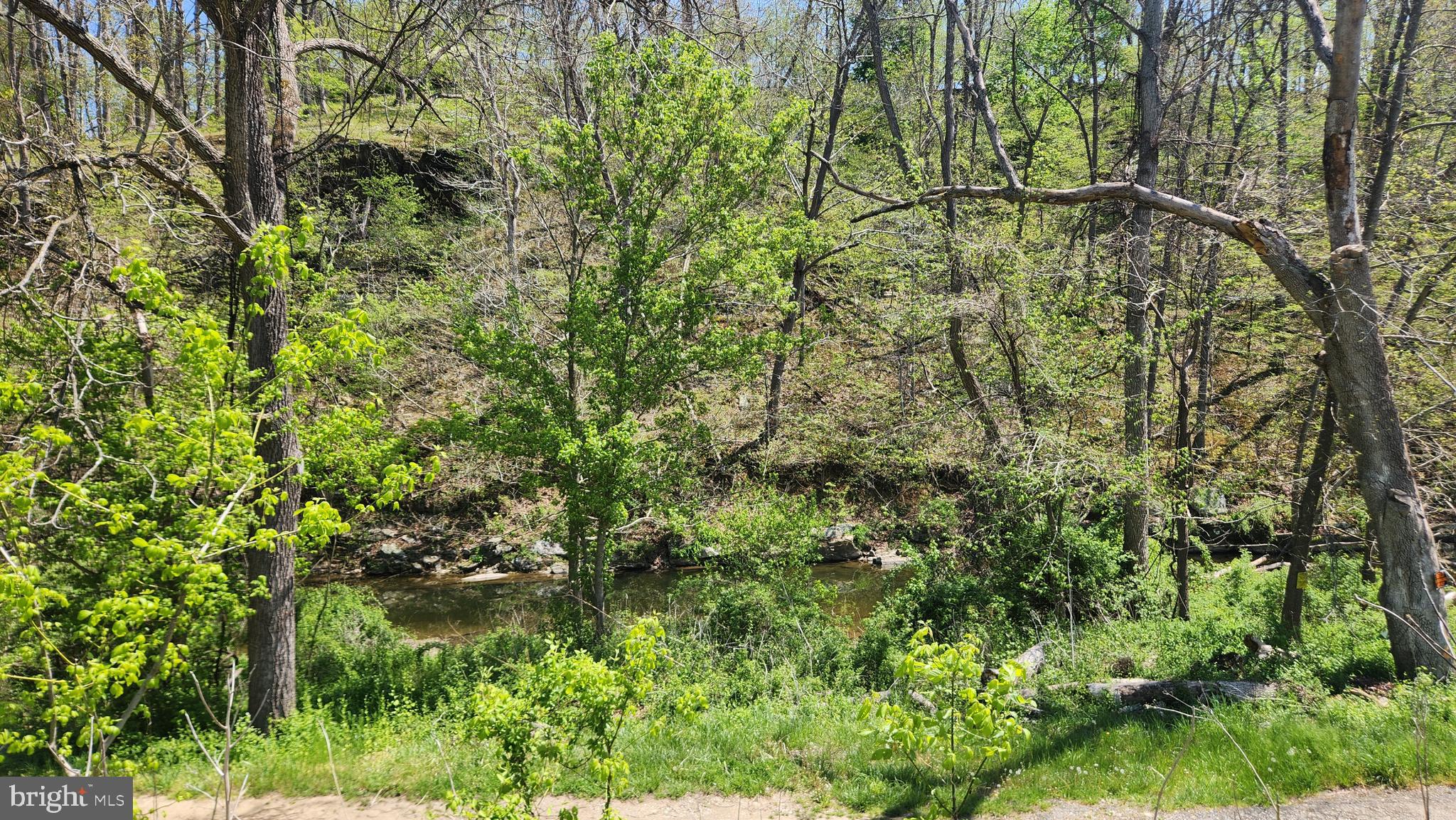 Burkittsville Road Middletown, MD 21769 - Photo 11 of 18