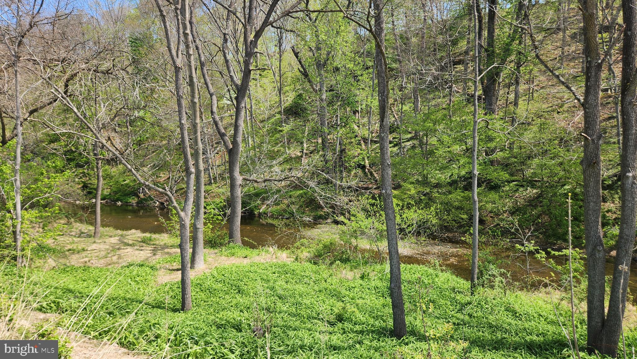 Burkittsville Road Middletown, MD 21769 - Photo 13 of 18