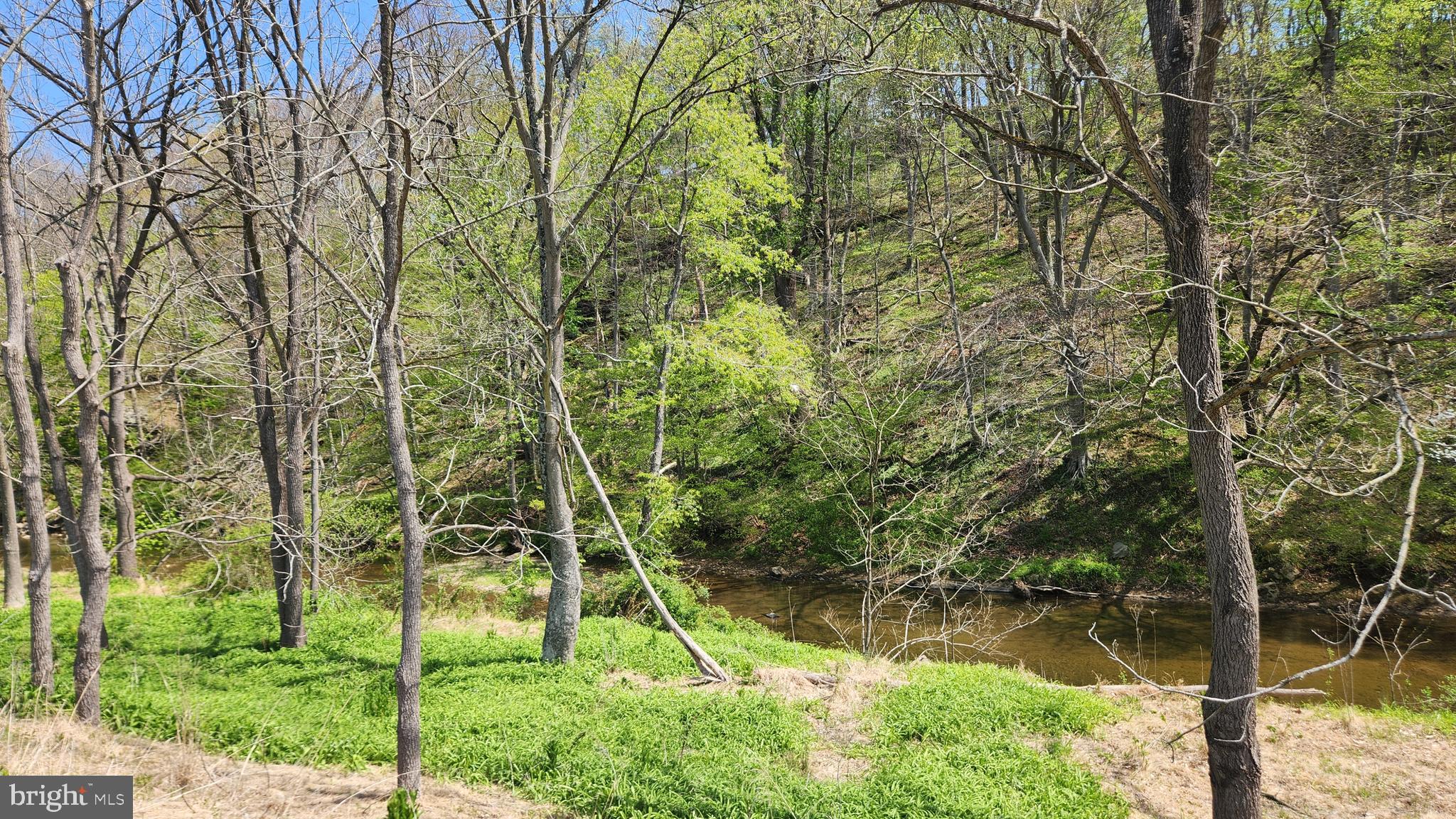 Burkittsville Road Middletown, MD 21769 - Photo 15 of 18