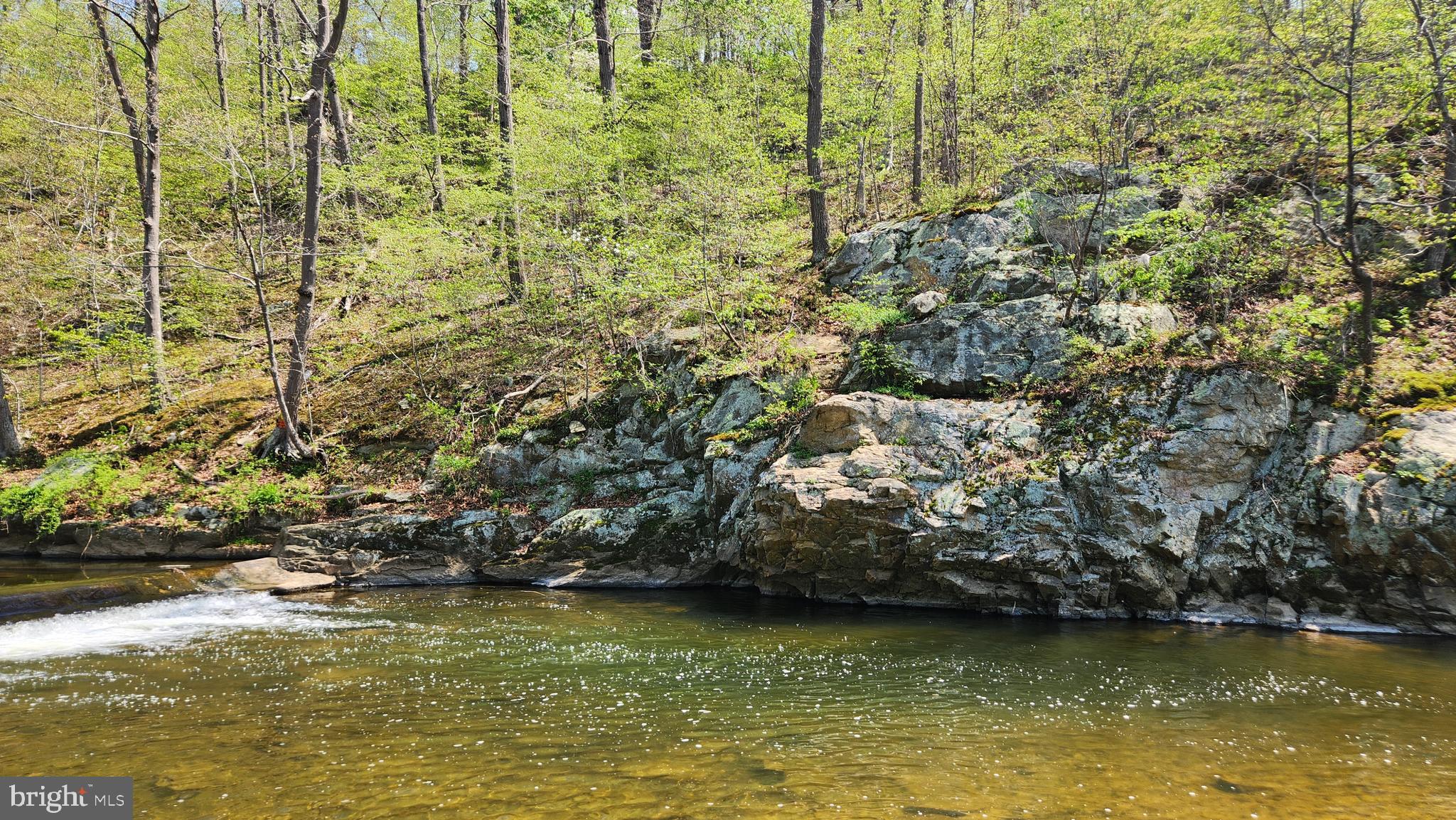 Burkittsville Road Middletown, MD 21769 - Photo 2 of 18 Swim, fish, even 4 wheel