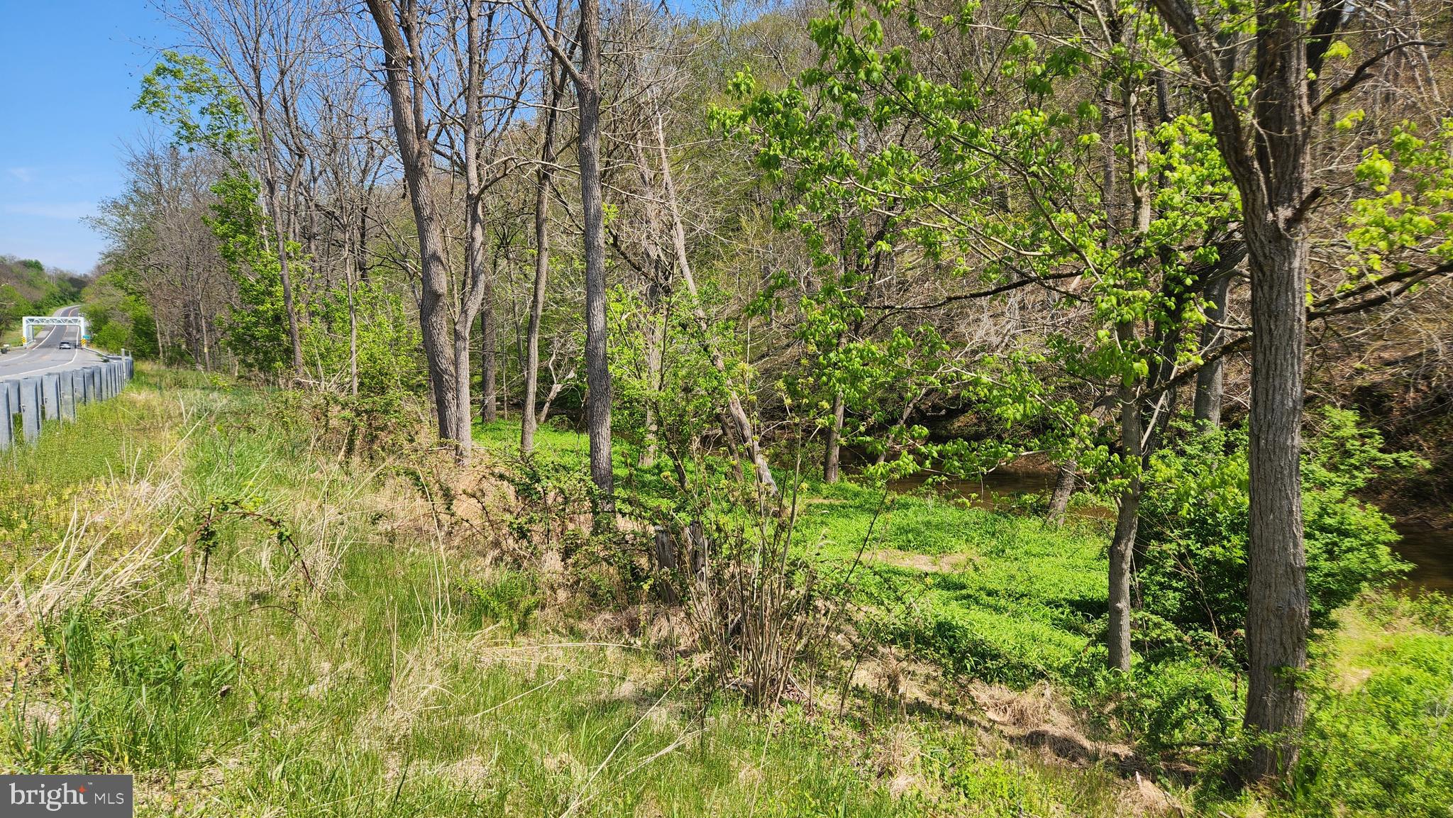 Burkittsville Road Middletown, MD 21769 - Photo 9 of 18