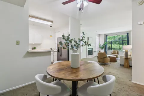 a dining room with furniture and a potted plant