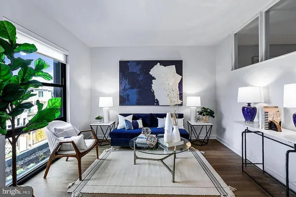 a living room with furniture and a potted plant