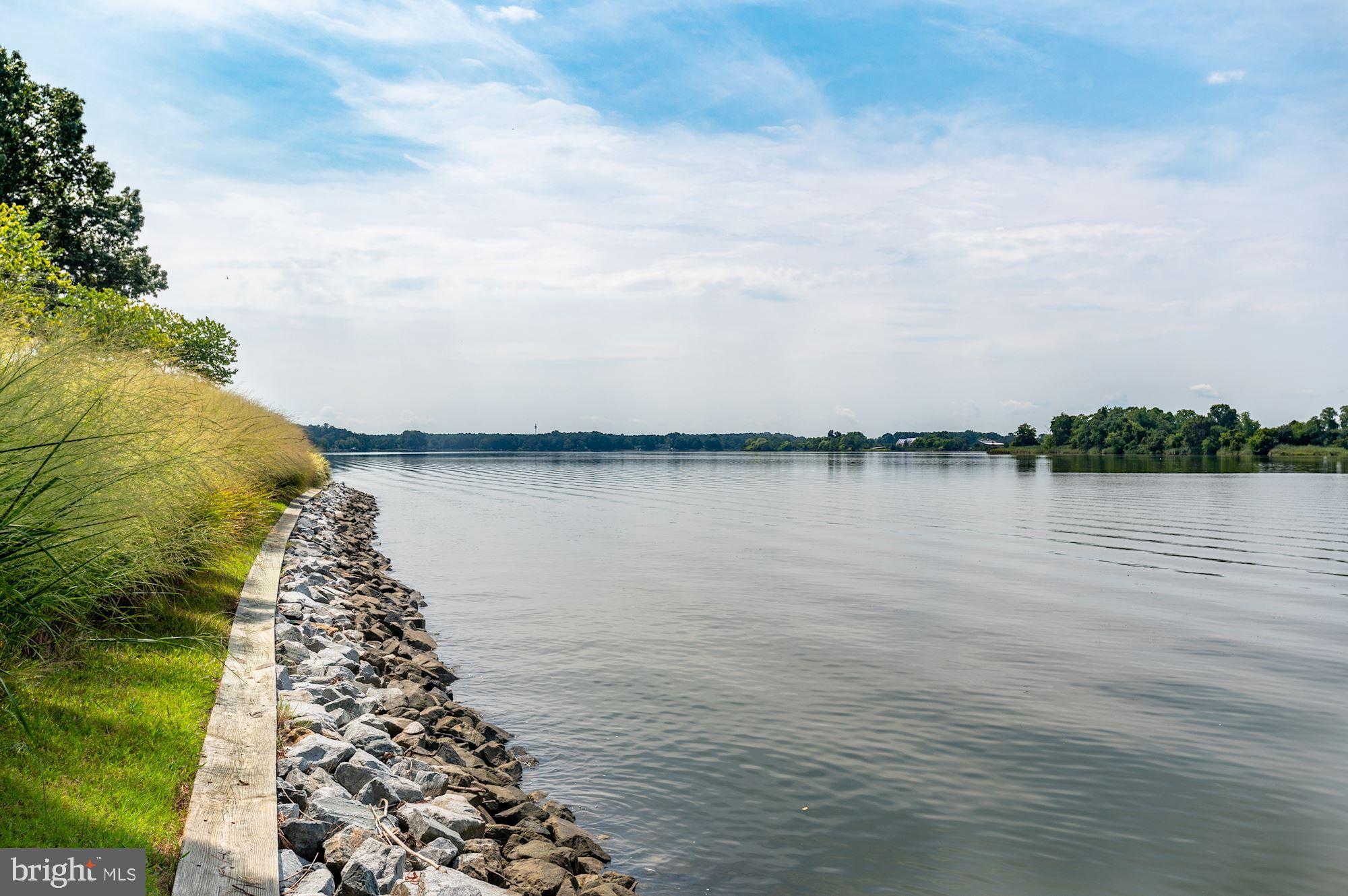 8620 Bozman Neavitt Road St. Michaels, MD 21663 - Photo 8 of 60 River Veiw