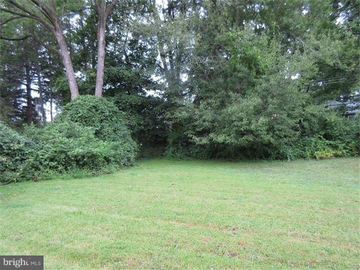 1228 Meinel Road Huntingdon Valley, PA 19006 - Photo 3 of 24 Back Yard