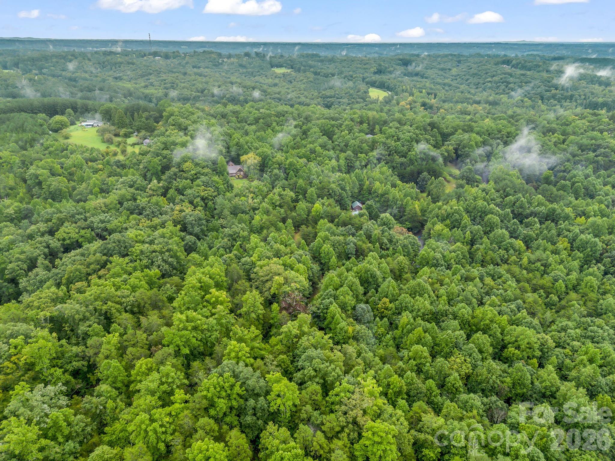 0 Observation Ridge Rutherfordton, NC 28139 - Photo 19 of 25 Gallery Image 19